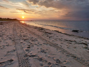 Meet your Posher, Raul